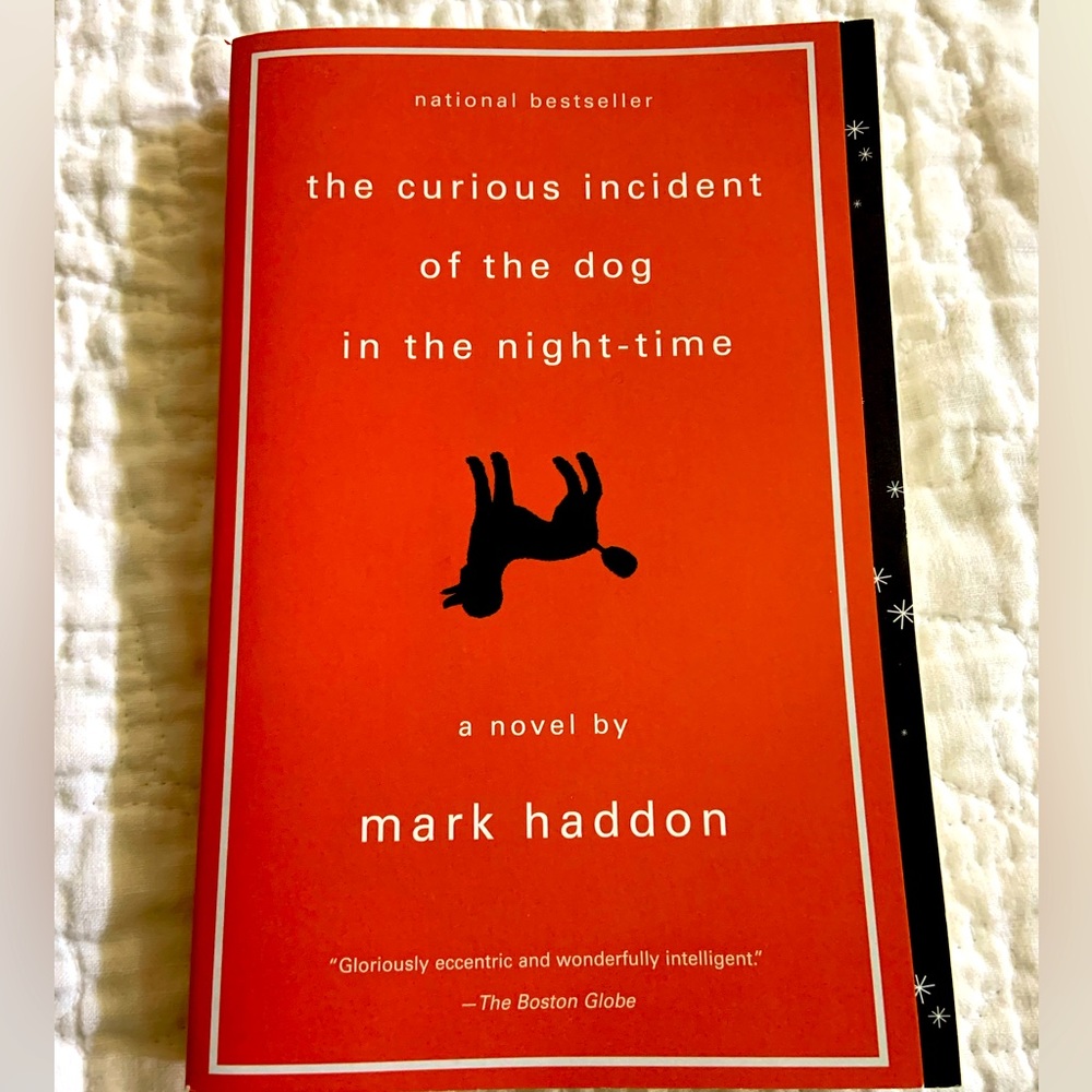 The Curious Incident of the Dog in the Night-Time by Mark Haddon.